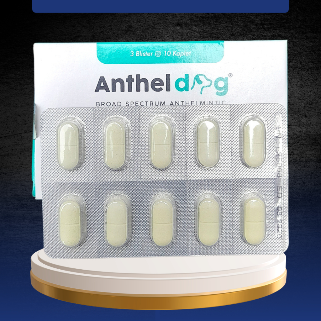 ANTHEL DOG 10 TABLET (1 STRIP) - Untuk Masalah Cacing Pada Doggy Anjing By Kalbe